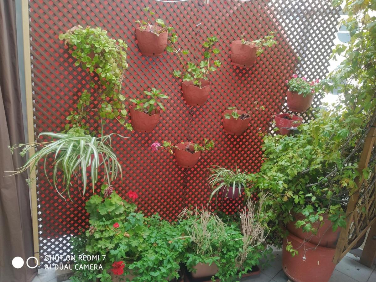 Habitacion Familiar En Un Atico Con Gran Terraza Y,Cocina ,En La Playa Burriana Bagian luar foto